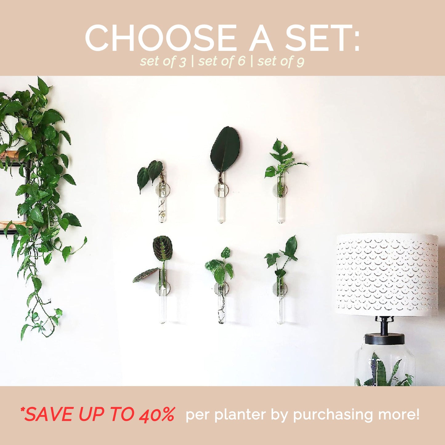 Propagation Concrete Planter Set Hooshold