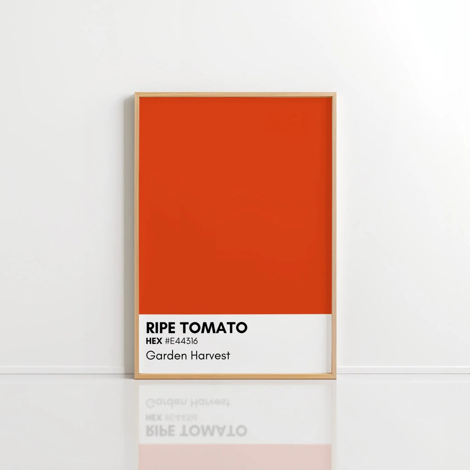 COLOR-SWATCHES Hooshold