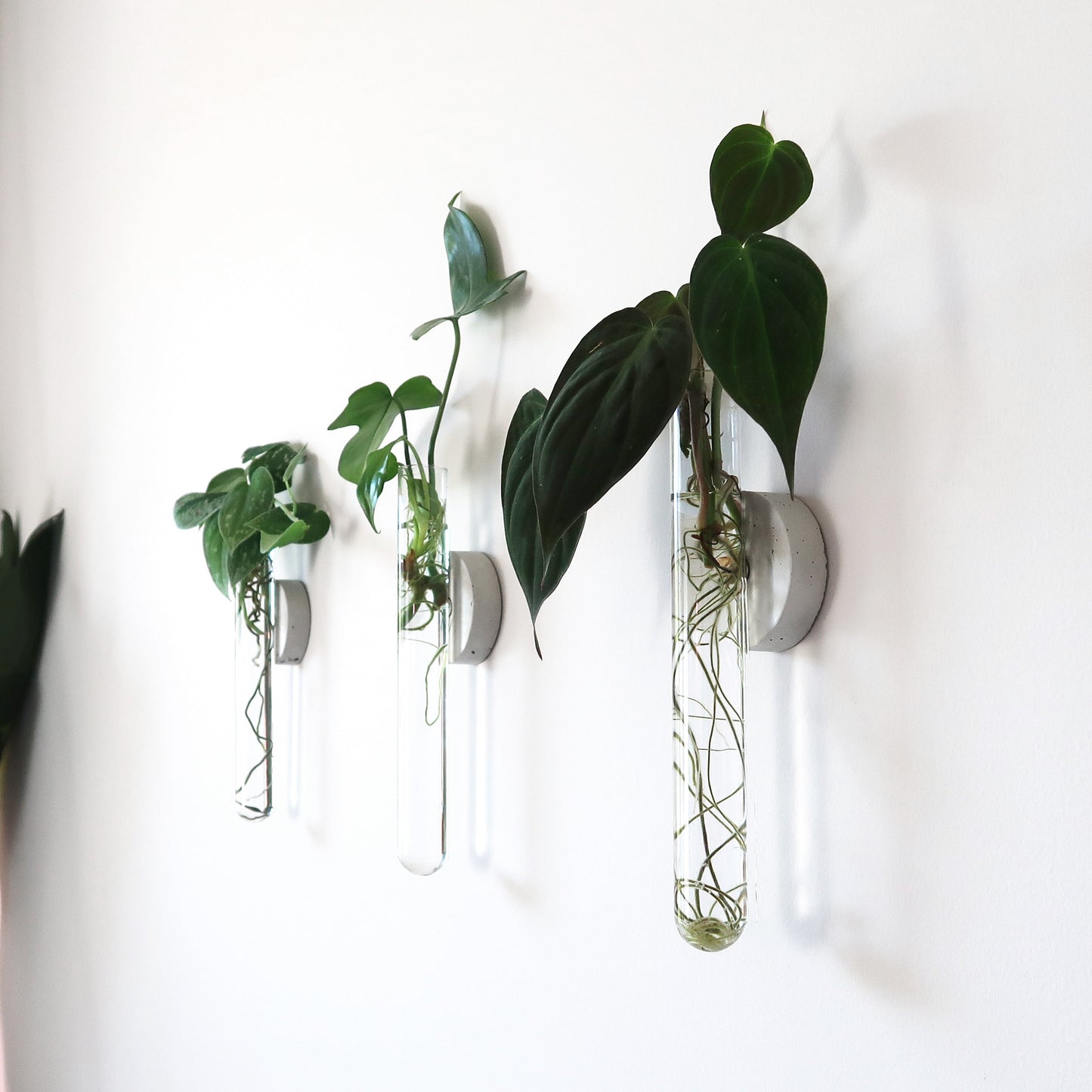 Propagation Concrete Planter Set Hooshold