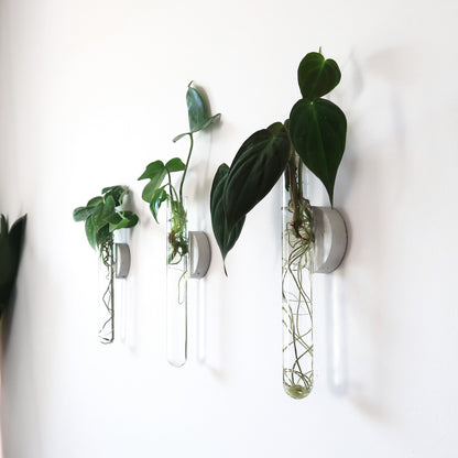 Propagation Concrete Planter Set Hooshold