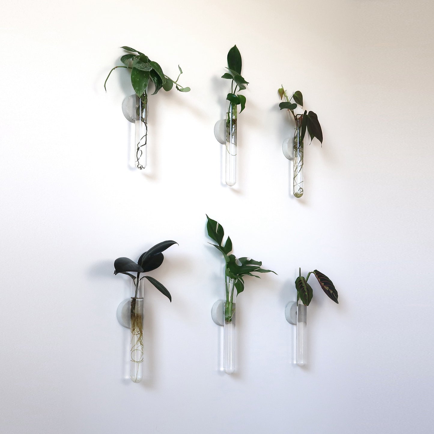 Propagation Concrete Planter Set Hooshold