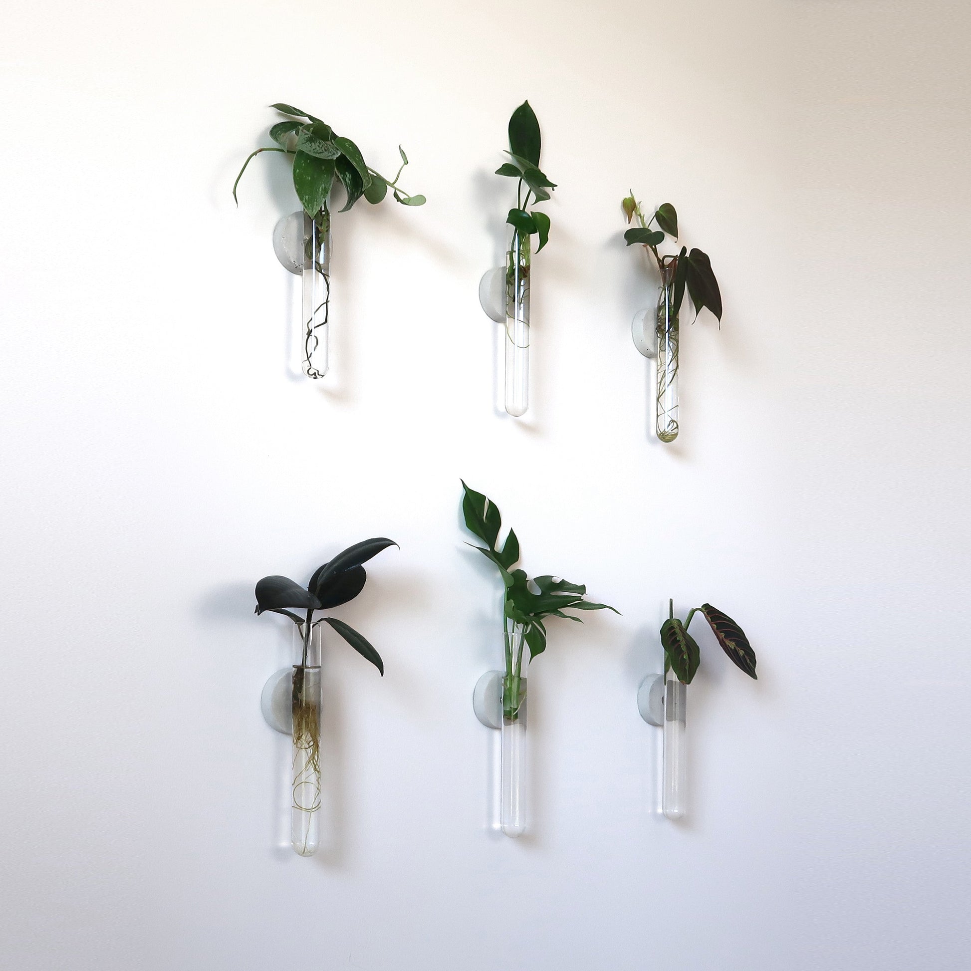 Propagation Concrete Planter Set Hooshold