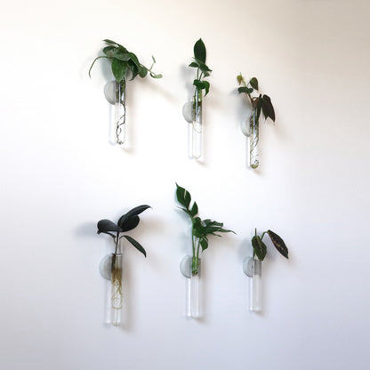 Propagation Concrete Planter Set Hooshold